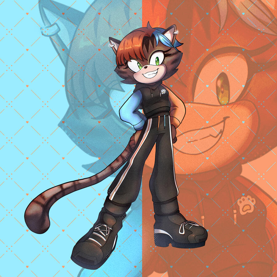 Sonic OC | Zenokim